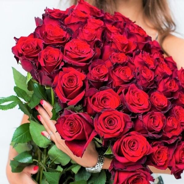 Роза сорта Эксплорер 80 см