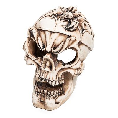 LAGUNA Грот Череп с пауком 100х75х90мм