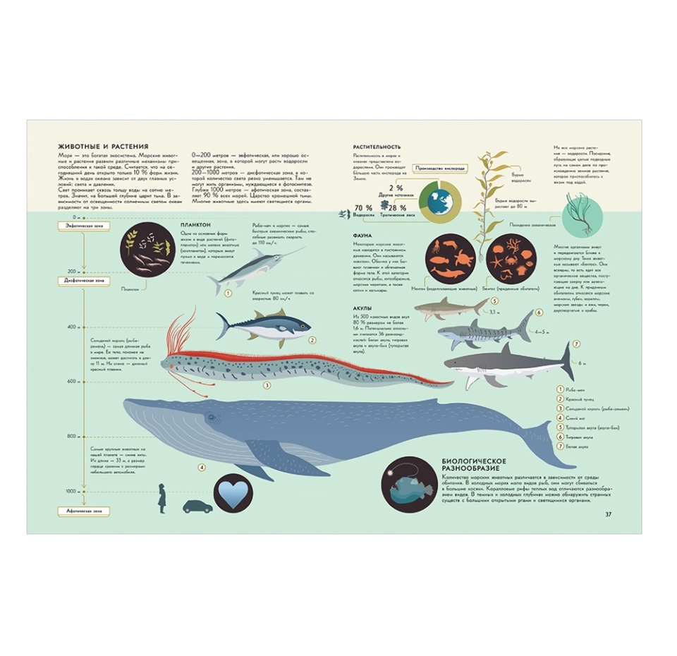 

Книга «Планета Земля. Большая энциклопедия в графиках, иллюстрациях и схемах» Банфи Кристина, «Росмэн», Россия