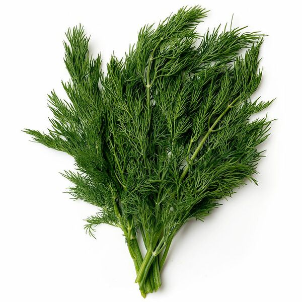 Укроп Mаркет Fresh