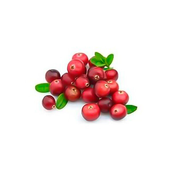 Клюква Свежая Лесная 180г