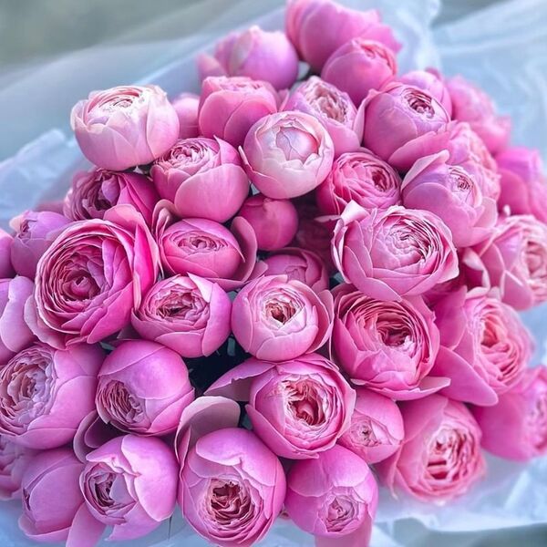 Букет из ярко розовых роз