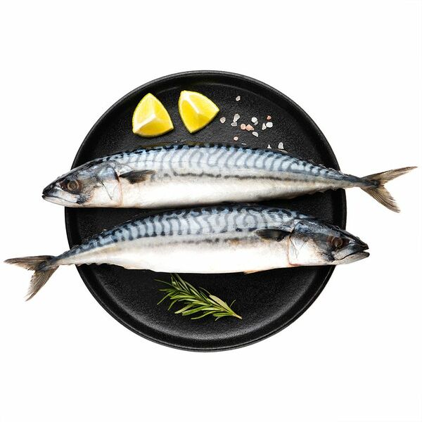 Скумбрия непотрошеная из замороженного сырья