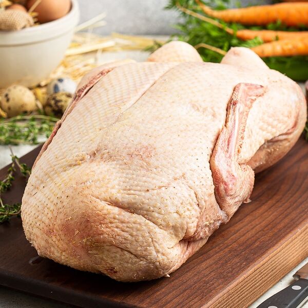 Утка Утолина