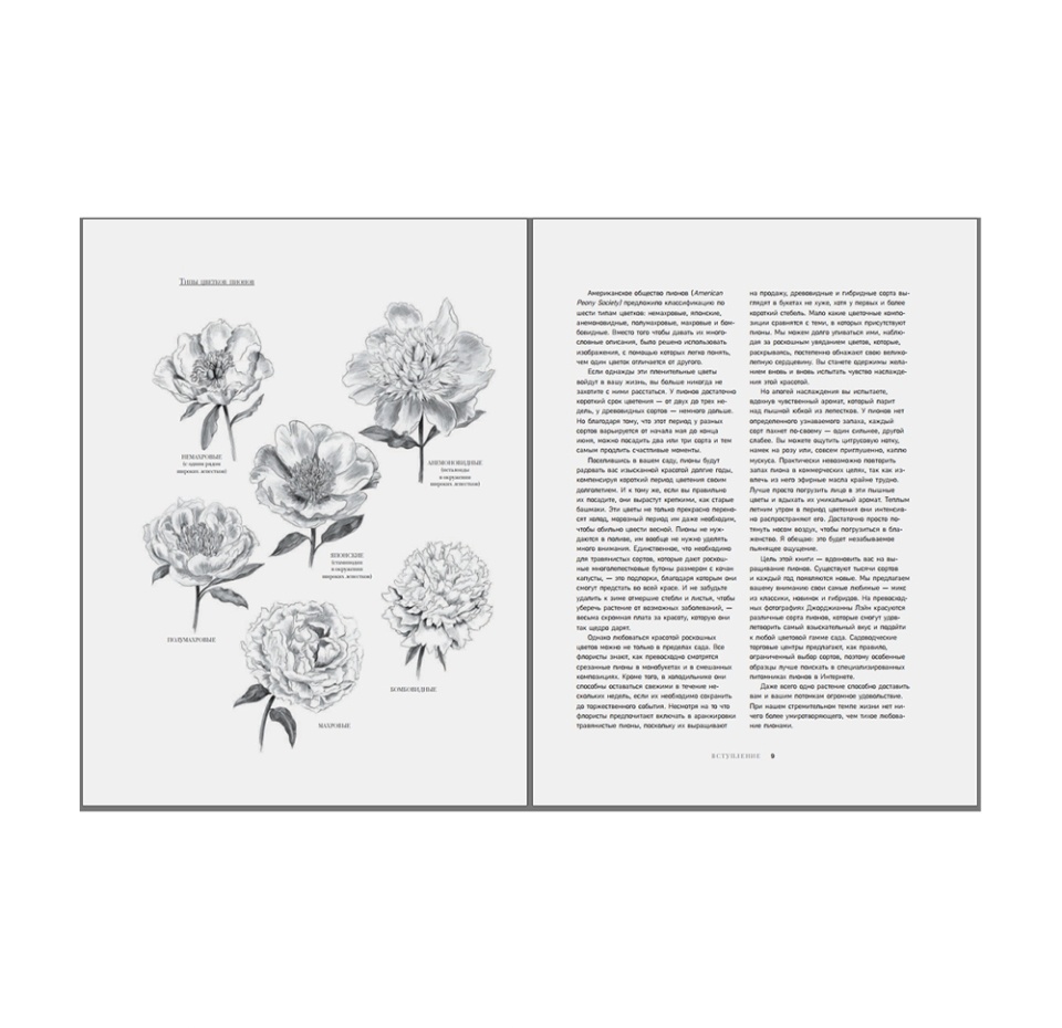 

Книга Пионы Роскошные цветы для дома и сада, Россия