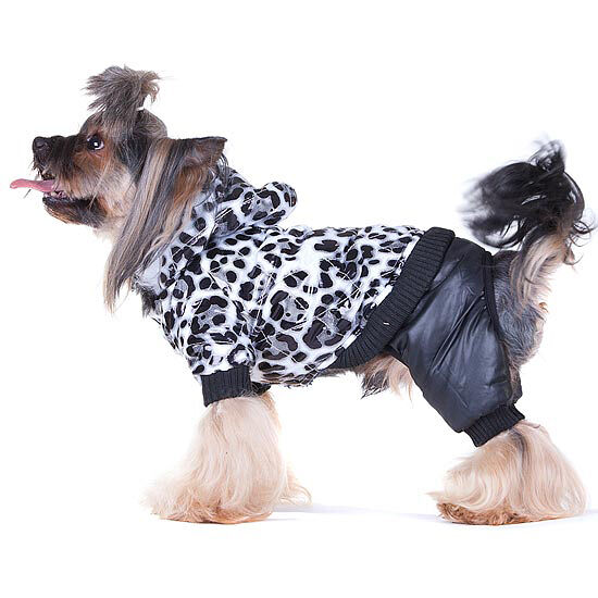 Комбинезон для собак Леопард XS (унисекс)