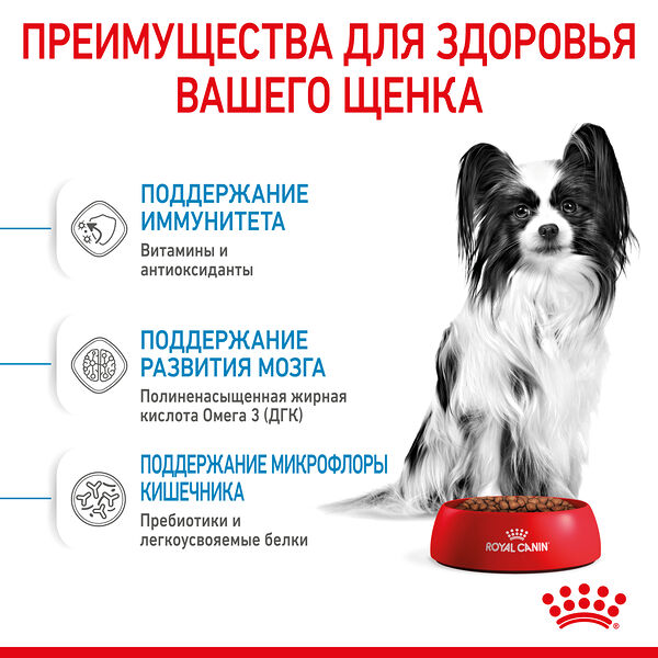 Корм для щенков Royal Canin (для мелких пород)