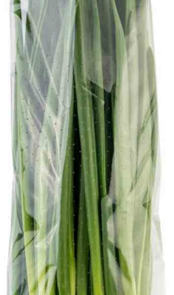 Лук зелёный (перо) свежий Глобус