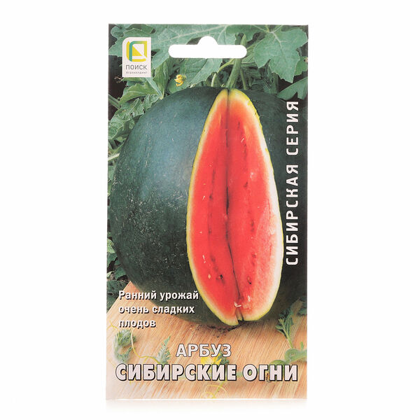 Арбуз сибирские огни ТМ Поиск агрохолдинг