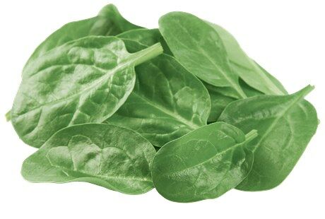 Шпинат свежий 