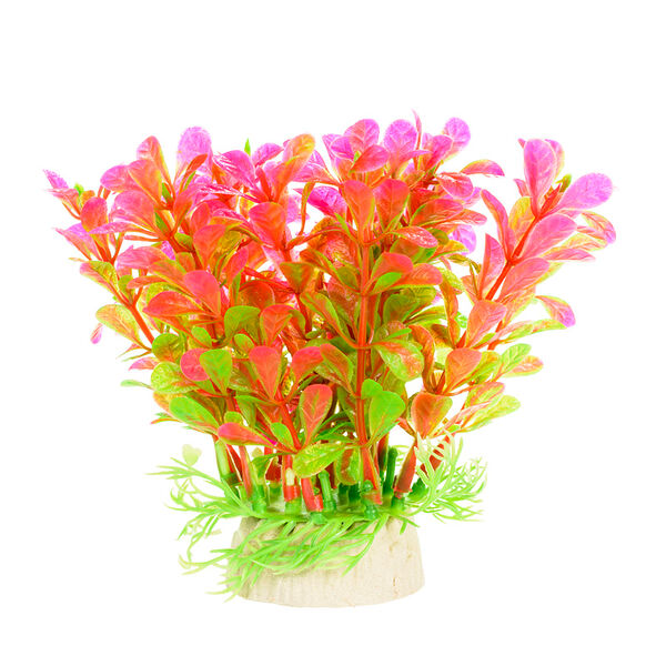 Растение красное 10*10*12см