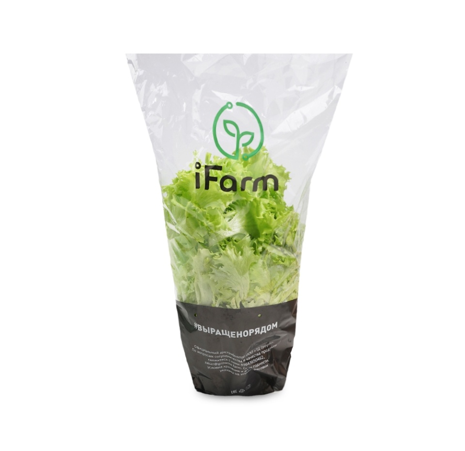 

Салат Фриссе iFarm в горшочке 80 г 1 шт.