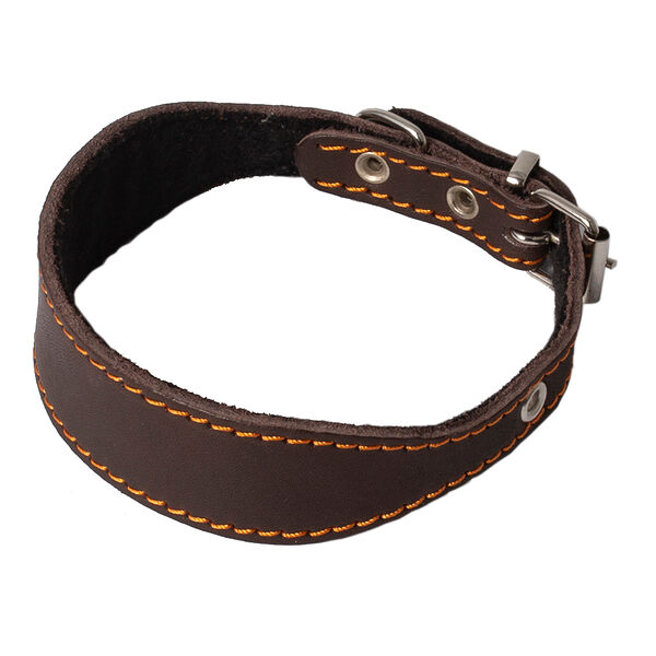 Ошейник для левретки, таксы кожаный с синтепоном обхват шеи 32-41 см