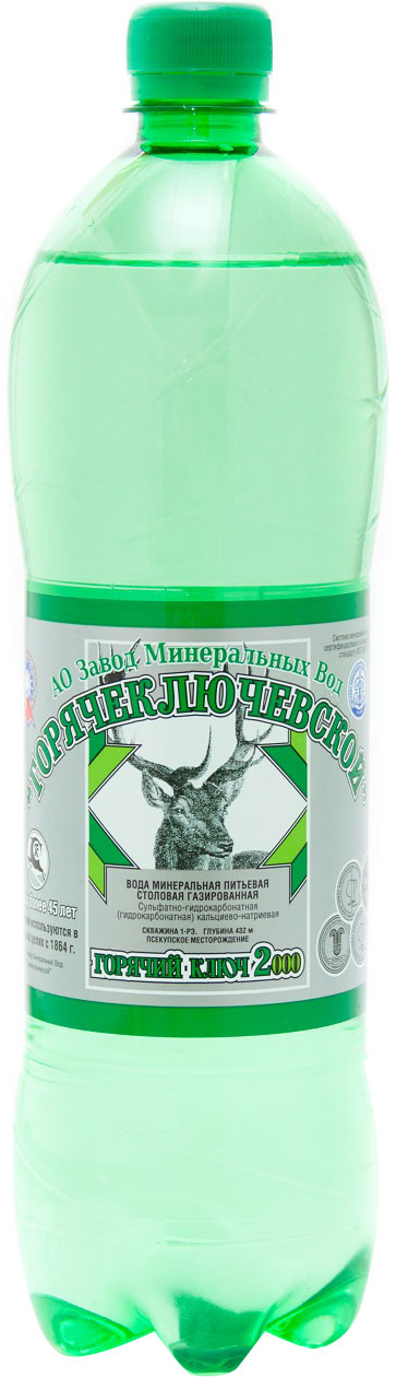 

Вода Горячий ключ №2000 минеральная столовая газированная 1л