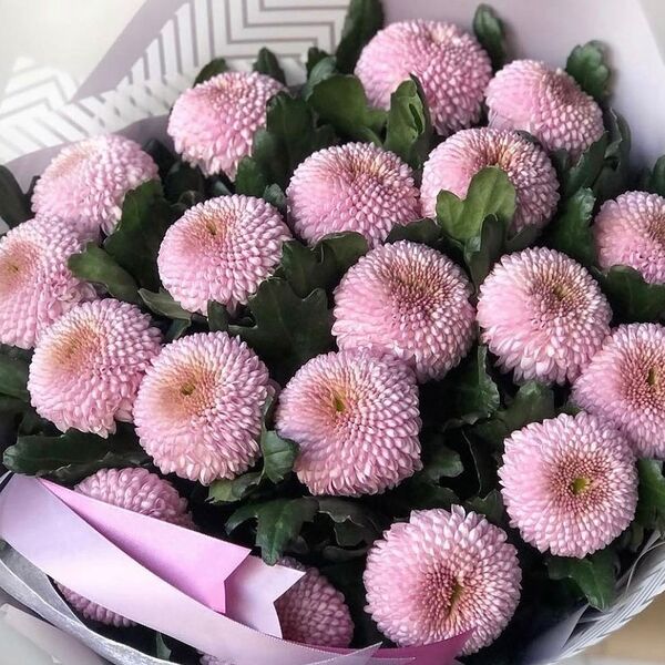 Букет из розовых хризантем Момоко