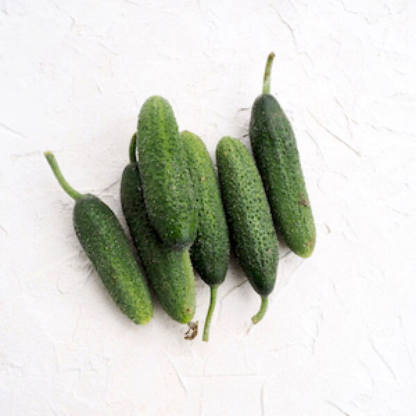 Огурцы Луховицкие