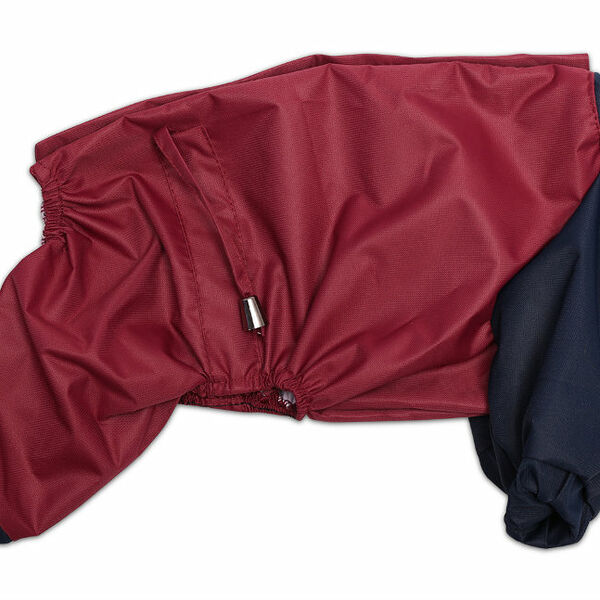 Дождевик Lion весенний унисекс XL 