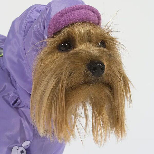 Шапка теплая для собак XS (унисекс)