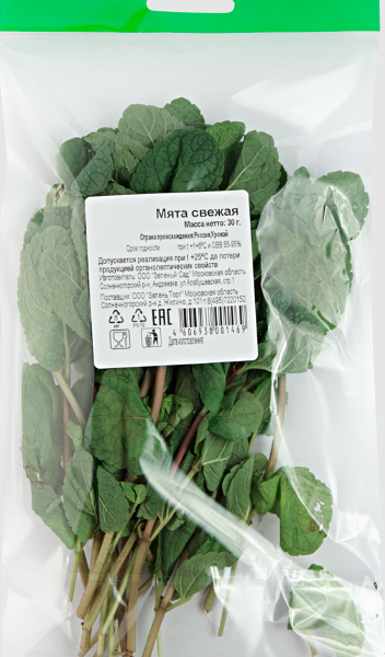 Мята свежая