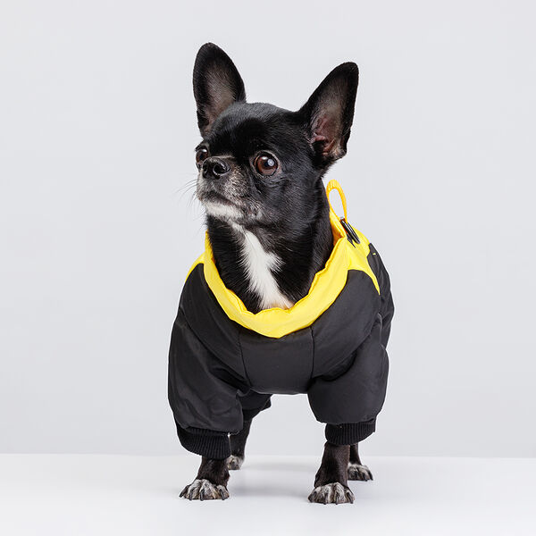 Комбинезон для собак, XS, желто-черный