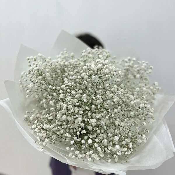 «Облако гипсофилы»