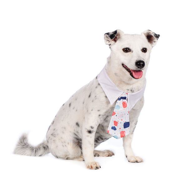 Галстук-бант с воротником белый с пятнами 2,5см*49см