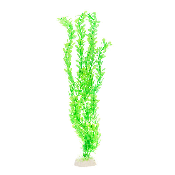 Растение зеленое 40см