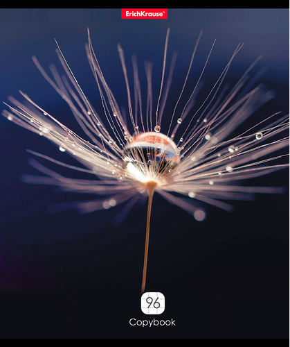 Тетрадь общая ERICHKRAUSE Макромир, 96 листов, в клетку, Арт. 58291 в ассортименте