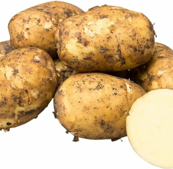 Картофель ранний