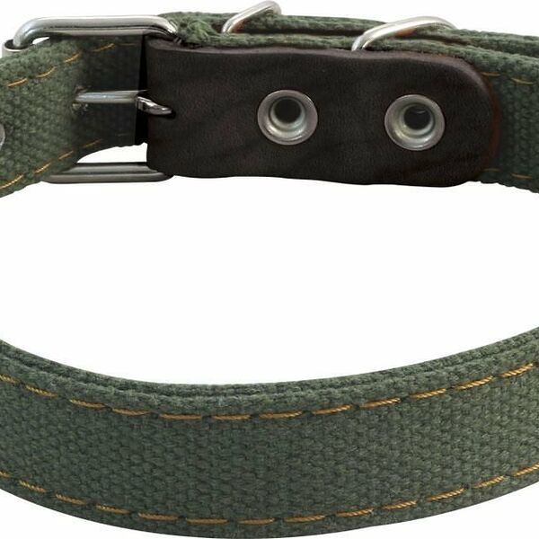 Ошейник Gamma брезентовый двойной 2.5х53 см