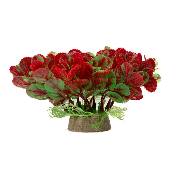 Растение красное 10*10*12см 092-056A