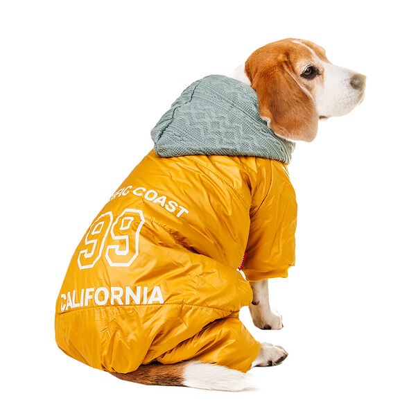 Комбинезон желтый с голубым капюшоном 4XL