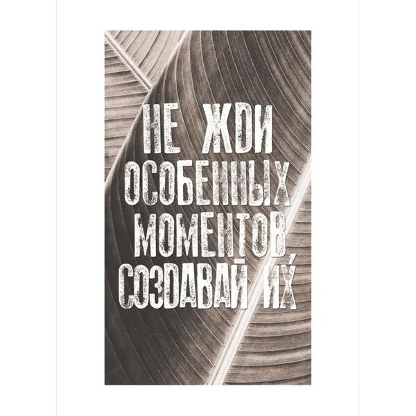 Картина-постер в раме Safary Jam, 20х30 см