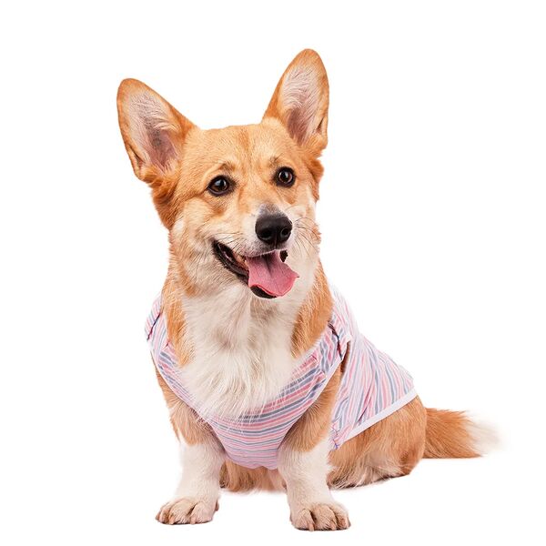 Футболка для собак 3XL розовый (унисекс)