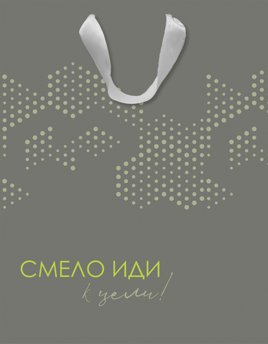 

Пакет подарочный Neon, 22,7х18х10см, Арт. M