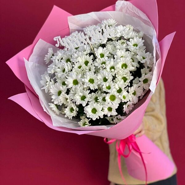 Ромашковое поле