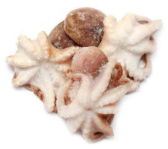 Осьминоги неразделанные свежемороженые