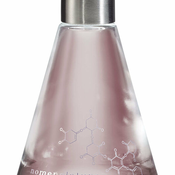 NOMENCLATURE Holy_wood Парфюмерная вода унисекс, 100 мл