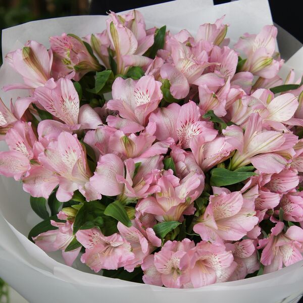 Монобукет из розовой альстромерии