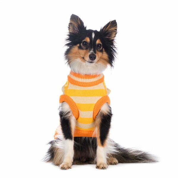 Свитер для собак XL желтый (унисекс)