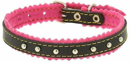 Каскад ошейник кожаный с украшением на синтепоне с бубенчиками 10 мм х 28 см, Черный