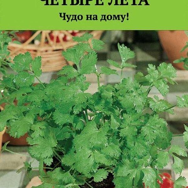 Семена Кориандр Авангард