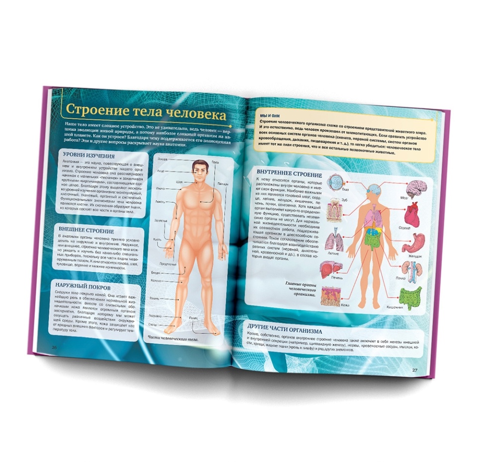 

Книга "Человек" Гусев Игорь Евгеньевич