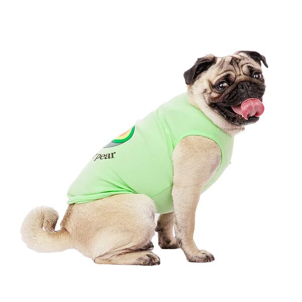 Футболка для собак с авокадо 2XL салатовый (унисекс)