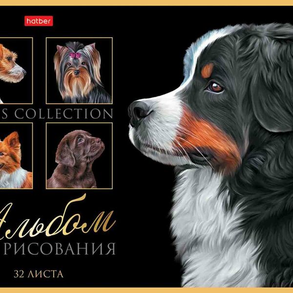 Альбом для рисования А4 Hatber Портрет лучшего друга дизайн в ассортименте, 32 листа