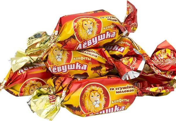 Конфеты Славянка Левушка шоколадные глазированные