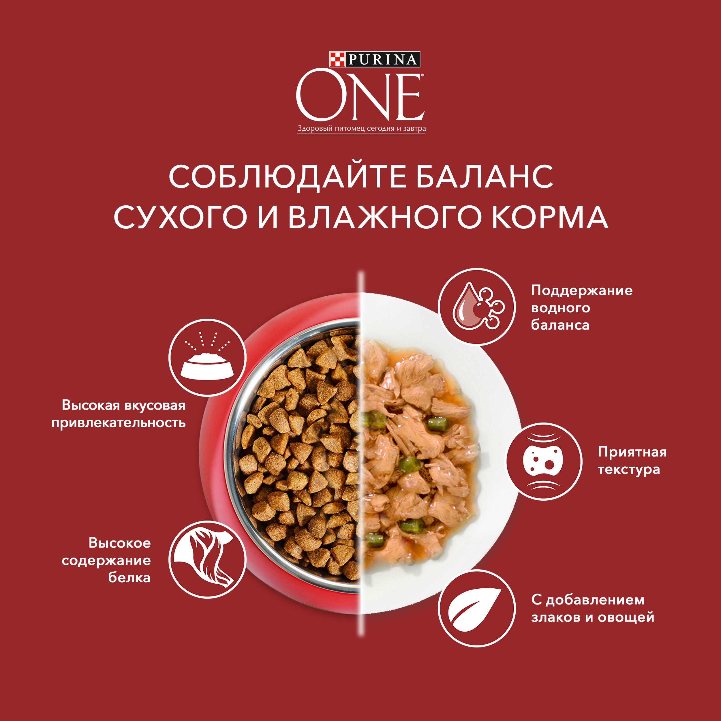 

Влажный корм Purina One Мини Взрослая для собак мелких пород старше 1 года, с курицей, морковью и зеленой фасолью в подливе 85 г