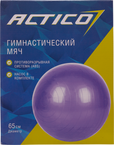 

Мяч гимнастический ACTICO с насосом d65см,1,1 кг цвет в ассортименте
