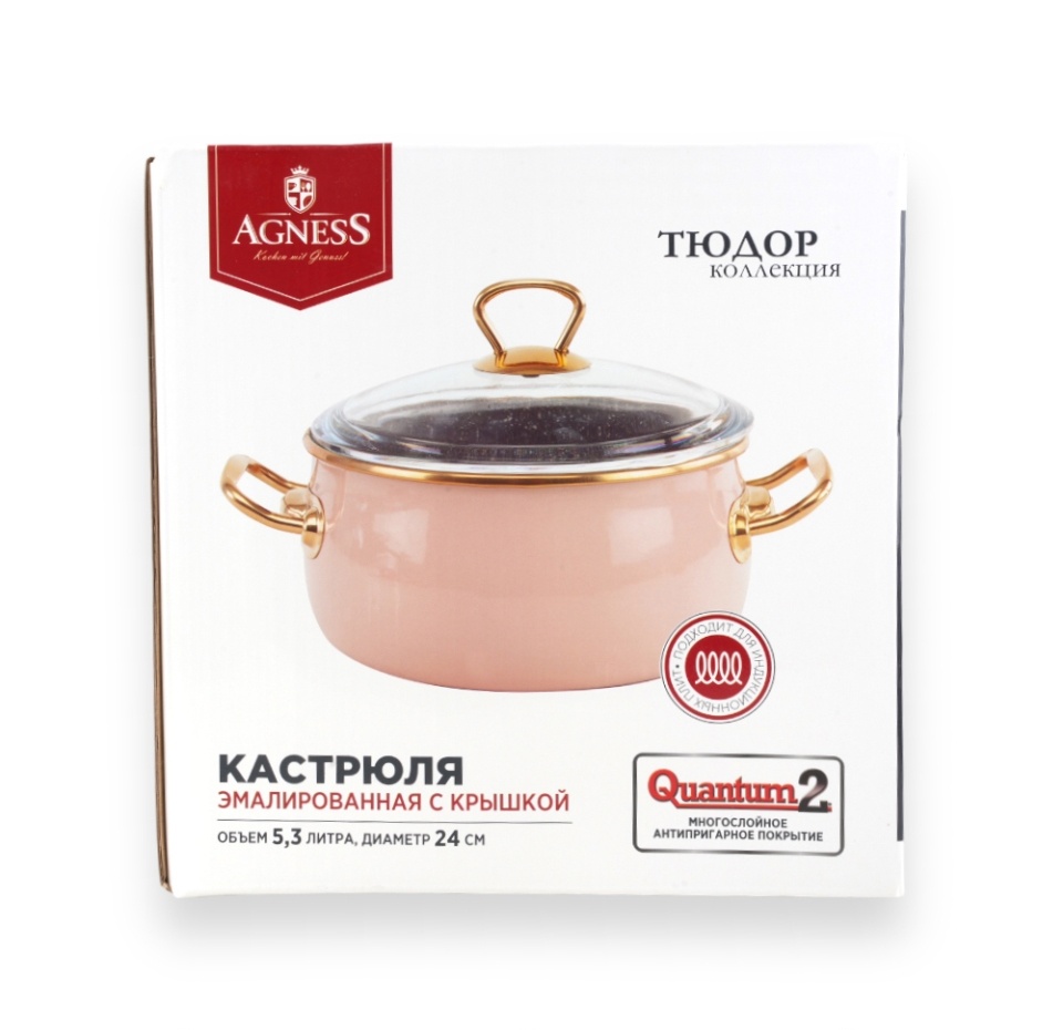 

Кастрюля Agness эмалированная со стекл. крышкой и антипригар. "мраморным" покрытием 24см / 5,3л, Турция
