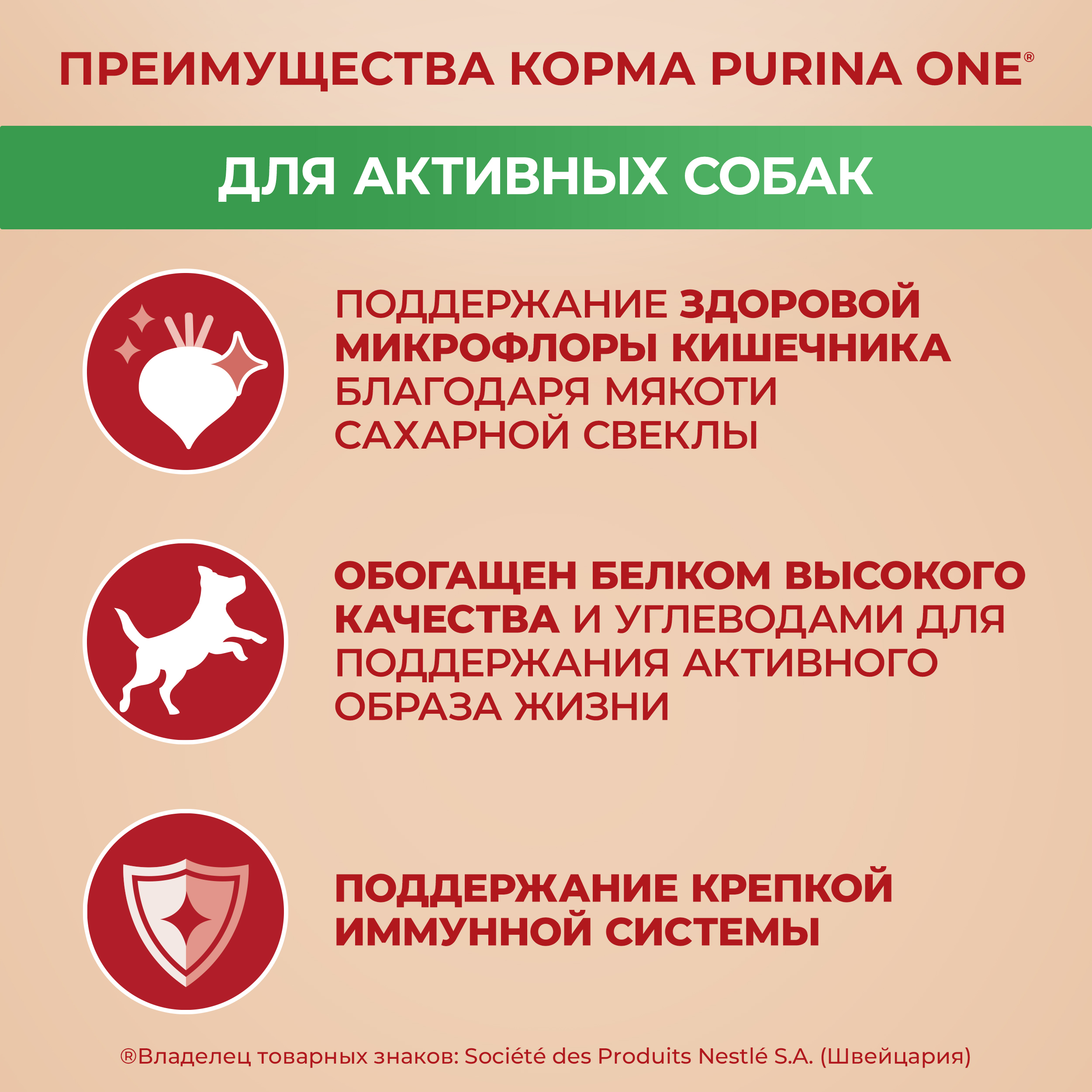 

Сухой корм Purina One для собак мелких пород с активным образом жизни с высоким содержанием курицы и с рисом пакет 600 г